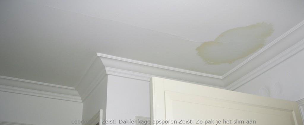 Daklekkage Opsporen Zeist