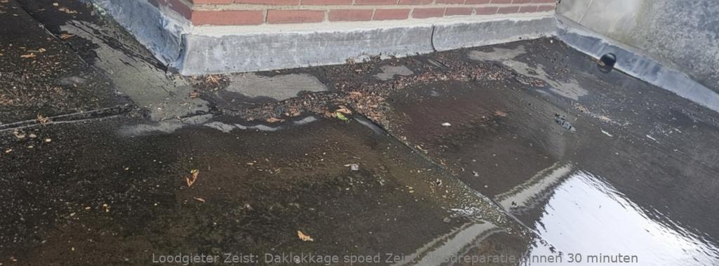 Daklekkage Spoed Zeist