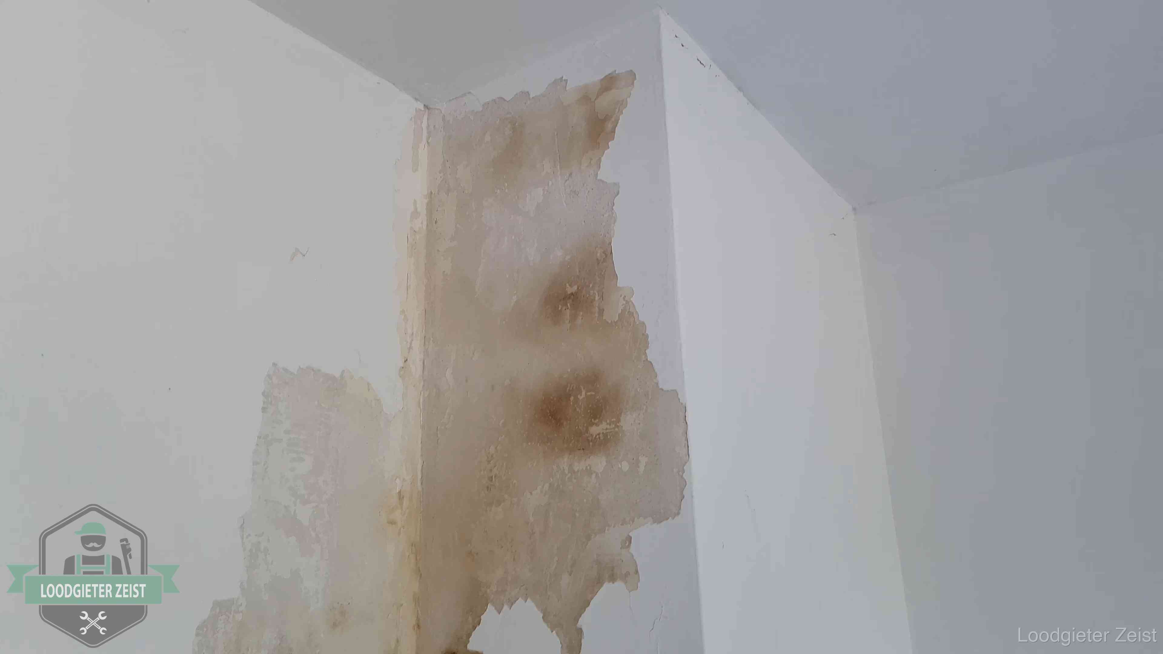 Bruine vochtkringen en afbladderend stucwerk op een binnenmuur in Zeist, een eerste teken van daklekkage