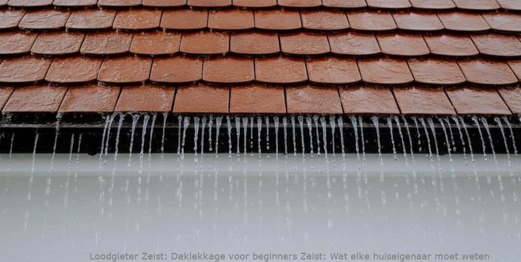 Daklekkage Voor Beginners Zeist