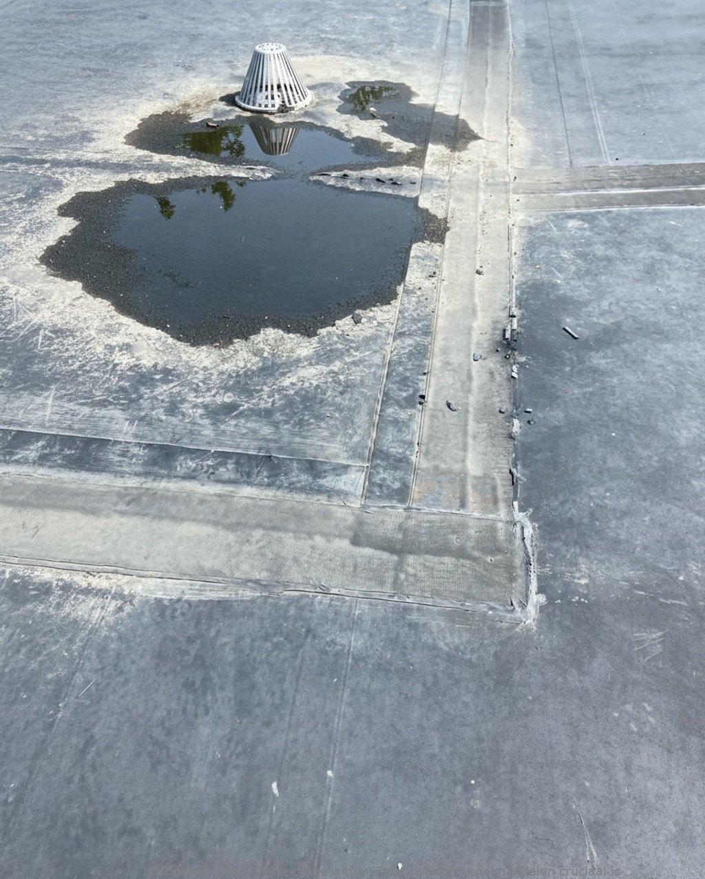 Daklekkage Winter Zeist