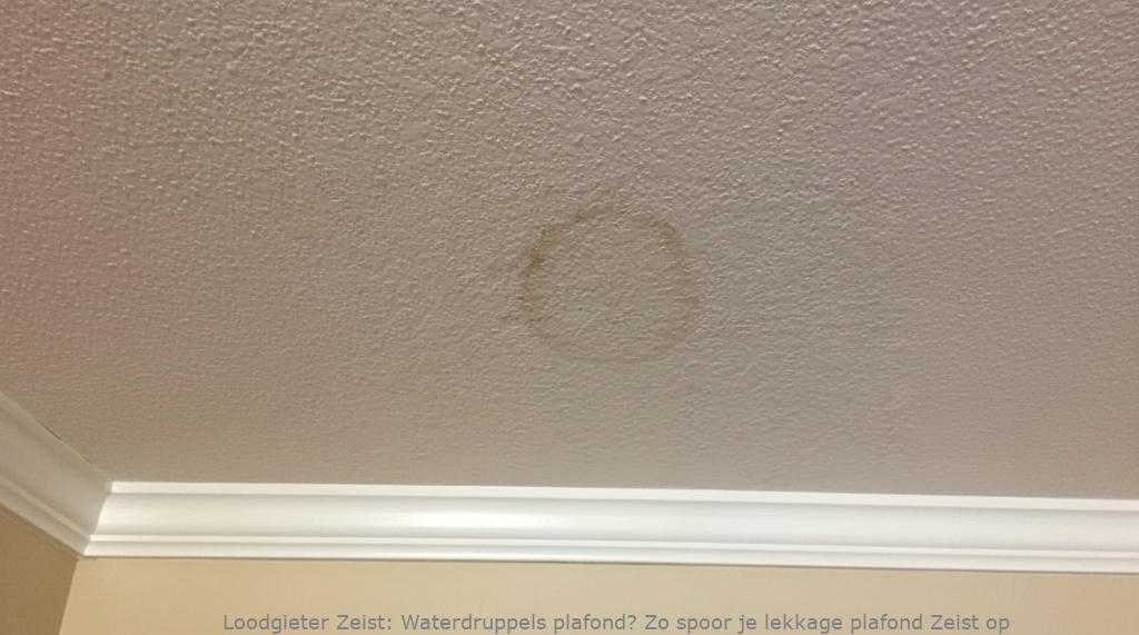 Lekkage Plafond Zeist