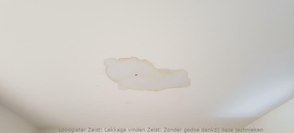 Lekkage Vinden Zeist