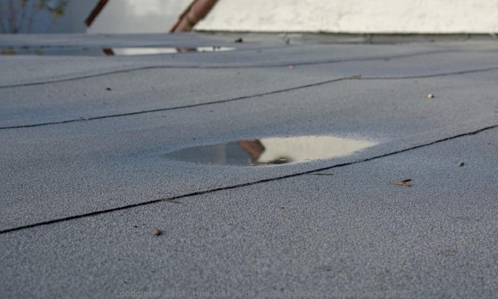 Loodgieter Daklekkage Zeist