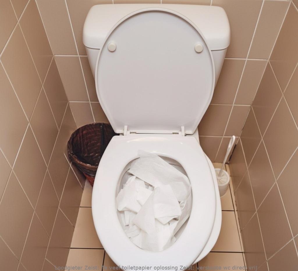 Te Veel Toiletpapier Oplossing Zeist