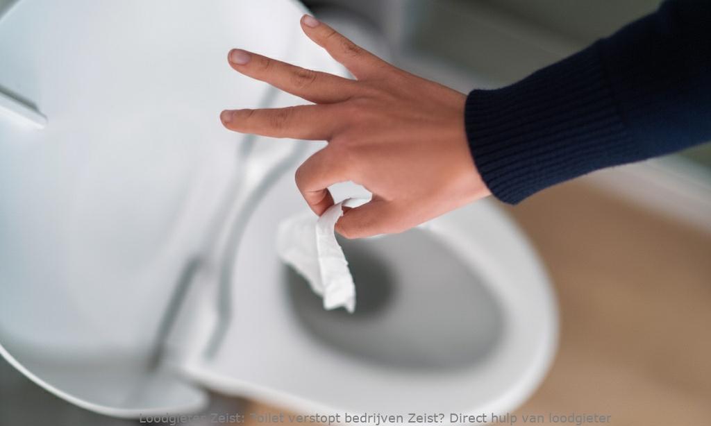 Toilet Verstopt Bedrijven Zeist