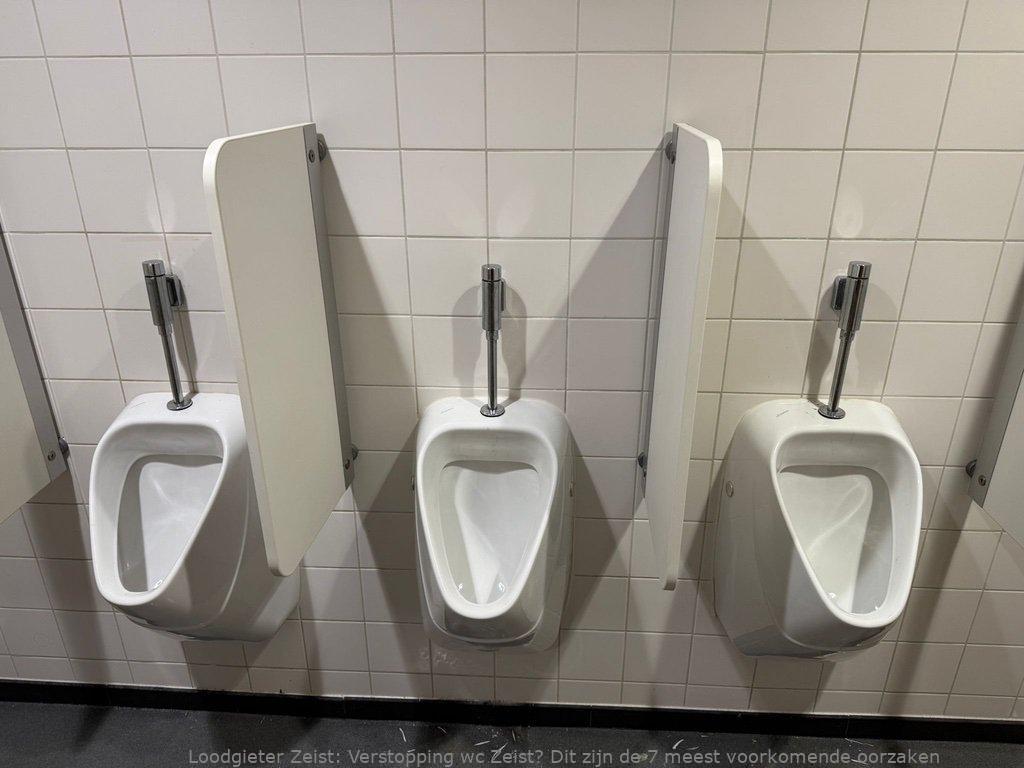 Verstopping Wc Zeist