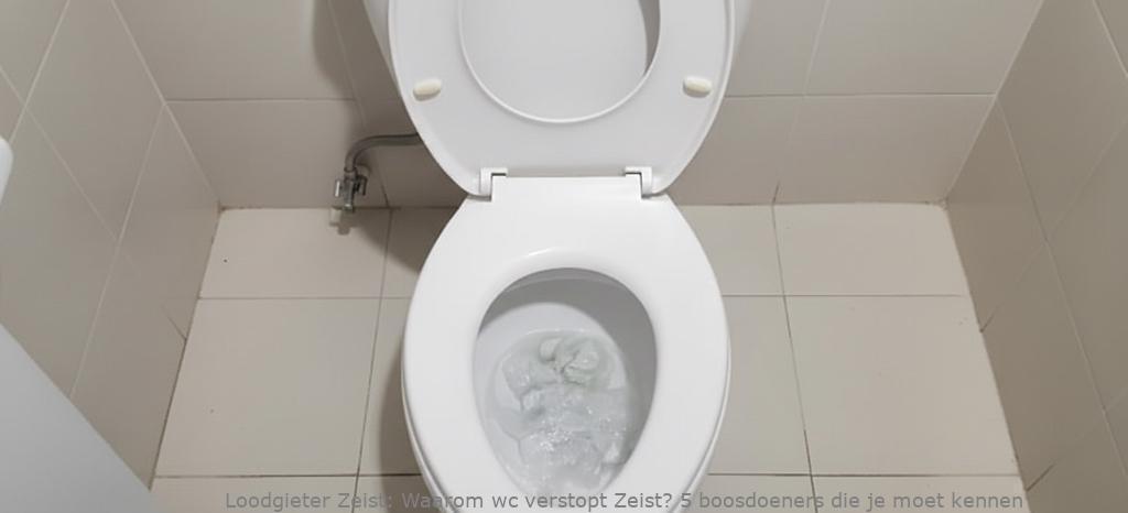 Waarom Wc Verstopt Zeist 1