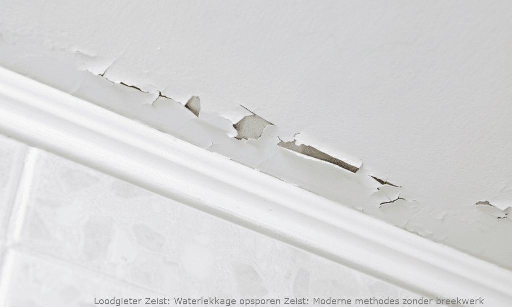 Waterlekkage Opsporen Zeist