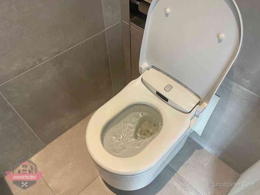 Wc Verstopt In Zeist
