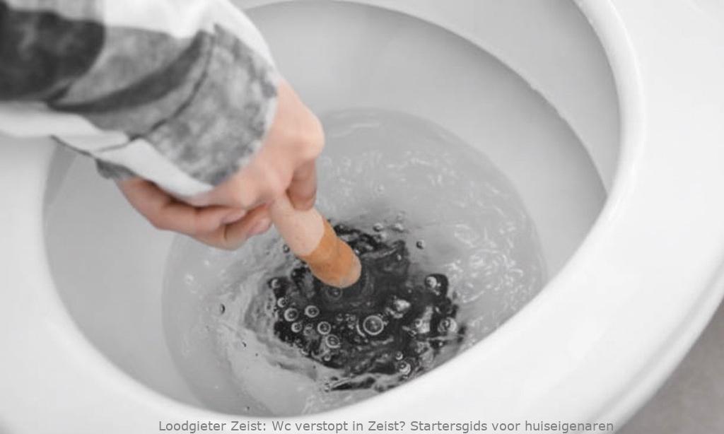 Wc Verstopt Startersgids Zeist
